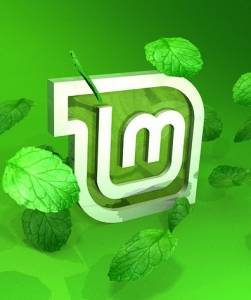 MintRosa Studio Cinnamon 17.3 ( Ubuntu Studio) [x64] 1xDVD