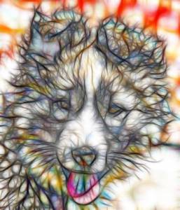 Redfield Fractalius 2.80 [En]