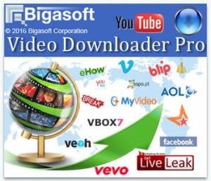 Bigasoft Video Downloader Pro 3.13.6.6212 [Multi]