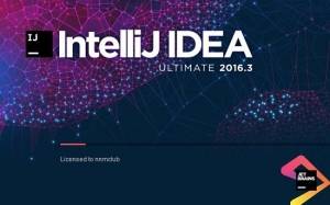 JetBrains IntelliJ IDEA Ultimate 2016.3.3 Build #IU-163.11103.6 [En]