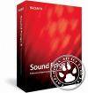 Sound Forge 8.0 RUS Sound Forge 8.0 RUS