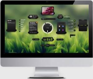 XWidget 1.9.7.808 + Portable [Multi/Ru]