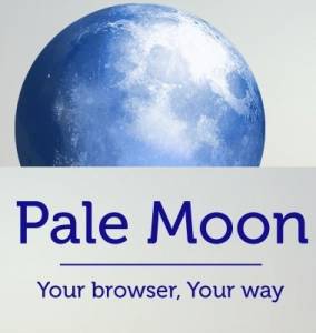 Pale Moon 33.1.1 + Portable [Ru/En]