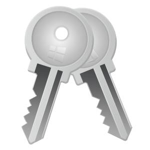 Wise Windows Key Finder Portable 1.0.2.13 [Multi]