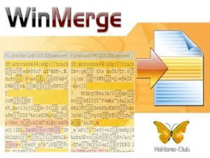 WinMerge 2.16.48.2 + Portable [Multi/Ru]