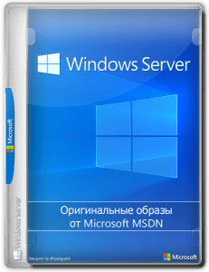 Windows Server 2022 LTSC [10.0.20348.3453], Version 21H2 (Updated April 2025) -    Microsoft MSDN [Ru/En]
