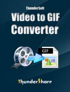 ThunderSoft Video to GIF Converter 5.5.0 (Repack & Portable) by elchupacabra [Ru/En]