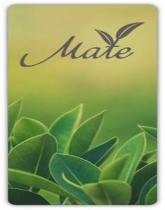 Linux   22.7.7 (Mint, Mate DE) [amd64]