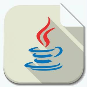 Java SE Development Kit 22.0.1 [En]