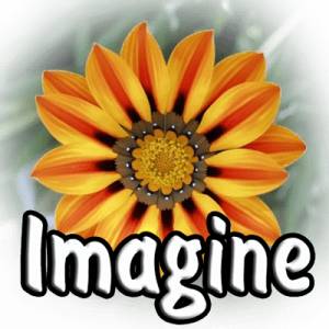 Imagine 2.0.0 + Portable [Multi/Ru]