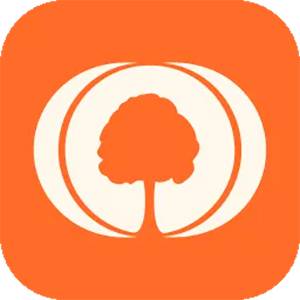 Family Tree Builder 8.0.0.8625 [Multi/Ru]