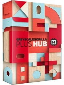 GreyscaleGorilla Plus Hub Plugins for C4D R22-R26 Win 2022 [En]