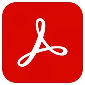 Adobe Acrobat Pro 24.003.20054 (x32-x64) Portable by 7997 [Multi/Ru]