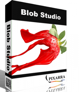  Pixarra TwistedBrush Blob Studio 5.04 [En]