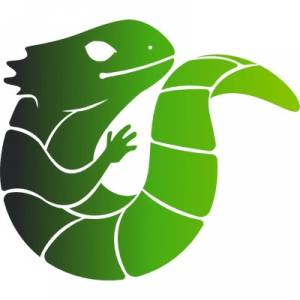 Midori Browser 11.3.3 + Portable [Multi/Ru]
