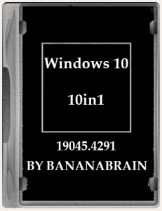 Windows 10 (10in1) 22H2 10.0.19045.4291 x64 by BananaBrain [Ru]
