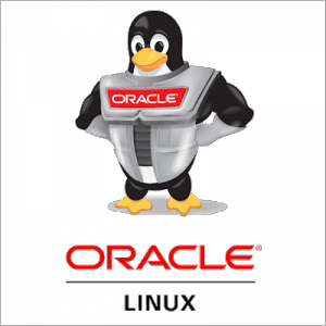 Oracle Linux 9.4 [x86_64] 3xDVD