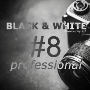 Franzis BLACK & WHITE Pro 8.25.04078 Portable by Spirit Summer [Multi]