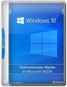 Microsoft Windows 10 [10.0.19045.5247], Version 22H2 (Updated December 2024) -    Microsoft VLSC [En]