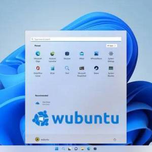 Wubuntu 11.24.04.2 LTS 24.10 [amd64] 1xDVD