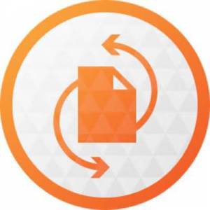 Paragon Hard Disk Manager 17.20.17 x64 Portable [Ru] 